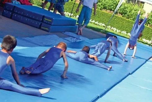 Gym Mats